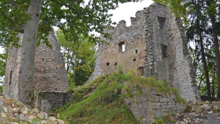 Ruine Alt-Ems Ruine Alt-Ems